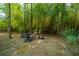 Cozy backyard fire pit area with comfortable seating, surrounded by bamboo, ideal for gatherings at 3738 Station Point Ct, Mount Pleasant, SC 29466