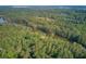 Scenic aerial view showcasing a winding river embraced by lush greenery and mature trees at 4292 Cloudmont Dr, Hollywood, SC 29449
