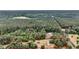 An aerial view shows the property's boundaries, with a home, other structures, and surrounding trees at 5056 Red Oak Rd, Cottageville, SC 29435