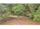 An exterior view of the property's natural landscape, featuring mature trees and foliage in a serene setting at 5056 Red Oak Rd, Cottageville, SC 29435