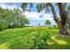Expansive green lawn with mature trees overlooking the waterfront at 528 Wampler Dr, Charleston, SC 29412