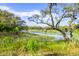 Picturesque marsh view with lush greenery, mature trees, and still water at 9822 Haven Loop, Johns Island, SC 29455