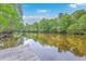 Scenic view of the tranquil lake with a wooden dock on the left at 100 Canal Rd, Saint George, SC 29477