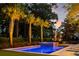 Stunning pool with spa, surrounded by swaying palm trees and a lush backyard at 11 Dalton St, Daniel Island, SC 29492