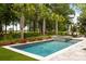Beautiful in-ground pool with integrated hot tub and surrounding palms, providing a private retreat at 11 Dalton St, Daniel Island, SC 29492
