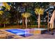 Beautifully lit swimming pool with spa, surrounded by trees and palm trees at 11 Dalton St, Daniel Island, SC 29492