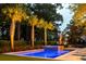 Beautiful in-ground pool glows with ambient lighting, surrounded by palm trees and lush greenery at night at 11 Dalton St, Daniel Island, SC 29492