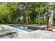 Beautiful pool area, surrounded by lush greenery, features a spa and ample lounge seating at 11 Dalton St, Daniel Island, SC 29492