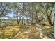 Beautiful backyard featuring lush greenery, mature trees, and a stone pathway leading to tranquil water at 1141 Hills Plantation Dr, Charleston, SC 29412