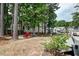 Expansive backyard featuring mature trees, a cozy fire pit area, and outdoor seating perfect for gatherings and outdoor enjoyment at 149 Daniels Ridge Dr, Summerville, SC 29485