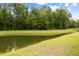 Scenic view of a pond surrounded by lush green grass and trees in the backyard, offering a tranquil and natural setting at 167 Cherry Grove Dr, Summerville, SC 29483