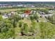Overhead view capturing the home's location with expansive green surroundings and nearby waterway access at 1711 Indigo Island Dr, Hanahan, SC 29410