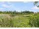 Lush landscape view of natural marsh vegetation and aquatic plants along pond at 1711 Indigo Island Dr, Hanahan, SC 29410