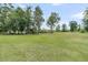Lush green backyard featuring mature trees providing shade and privacy at 1711 Indigo Island Dr, Hanahan, SC 29410