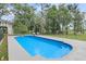Sparkling blue swimming pool with steps, surrounded by a concrete patio and a lush green lawn at 1711 Indigo Island Dr, Hanahan, SC 29410