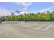 Outdoor tennis courts with lighting surrounded by lush trees, perfect for an active lifestyle at 203 Yeamans Way, Summerville, SC 29483