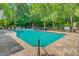 Bright community pool with stone surround, palm trees, and surrounding forest at 2121 Egret Crest Ln, Charleston, SC 29414