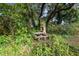 Lush backyard featuring mature trees and vintage brickwork, providing a serene outdoor setting at 2128 Golfview Dr, Charleston, SC 29412