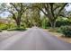 Tree-lined street view showcasing the natural beauty of the neighborhood at 2128 Golfview Dr, Charleston, SC 29412