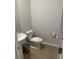 A clean powder room featuring a modern pedestal sink, toilet, and light wood flooring at 244 Tuscan Sun St, Summerville, SC 29485