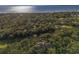 An aerial view shows the landscape, with a beach near a tree-lined property at 339 Sea Cloud Cir, Edisto Island, SC 29438