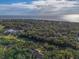 An aerial view shows the coastline near a home encompassed by lush green trees at 339 Sea Cloud Cir, Edisto Island, SC 29438
