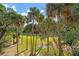 The backyard features beautiful grass, palm trees, and lush landscaping at 339 Sea Cloud Cir, Edisto Island, SC 29438