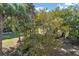The backyard features beautiful grass, palm trees, and lush landscaping at 339 Sea Cloud Cir, Edisto Island, SC 29438