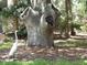 The front yard features a large tree and a beautiful white crane on the grass at 339 Sea Cloud Cir, Edisto Island, SC 29438