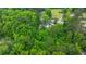 High aerial view of the house and surrounding greenery at 358 Highway 78, Ridgeville, SC 29472