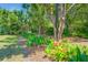 Lush garden pathway lined with mature trees and blooming canna lilies, creating a tranquil nature walk at 423 Lake Moultrie Dr, Bonneau, SC 29431