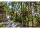 Shaded nature trail leading to the beach, surrounded by lush greenery and trees at 4233 Mariners Watch, Johns Island, SC 29455