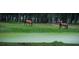 A picturesque scene of two horses grazing peacefully by a pond surrounded by lush greenery and trees at 5105 St George Ln, Hollywood, SC 29449