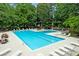 Aerial view of a large community pool surrounded by lounge chairs and picnic tables at 7955 Timbercreek Ln # 1807, North Charleston, SC 29418