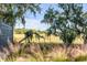 Backyard with scenic marsh views framed by trees and foliage, creating a tranquil and natural setting at 853 Whispering Marsh Dr, Charleston, SC 29412