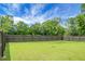 Vast fenced backyard showcasing ample green space, ideal for Gathering activities at 8703 Jenny Lind St, North Charleston, SC 29406