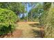 Expansive backyard showcasing lush landscaping and a tranquil water feature, perfect for relaxation and outdoor enjoyment at 968 Cummings Cir, Mount Pleasant, SC 29464