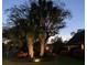 Inviting twilight scene featuring landscape lighting highlighting mature palm trees and flowering bushes at 968 Cummings Cir, Mount Pleasant, SC 29464