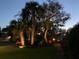 Tranquil evening view of lush landscaping with mature trees and soft exterior lighting at 968 Cummings Cir, Mount Pleasant, SC 29464
