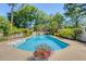 A clear, in-ground pool is surrounded by lush greenery and a colorful flower arrangement at 968 Cummings Cir, Mount Pleasant, SC 29464