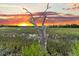 Breathtaking marsh view featuring a striking bare tree at sunset at 000 Remington Trl, Johns Island, SC 29455
