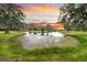 Scenic pond view with mossy edges, surrounded by lush greenery and mature trees at 000 Remington Trl, Johns Island, SC 29455