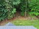Large backyard surrounded by lush trees, with a fire pit area and well-maintained lawn at 109 Holly St, Summerville, SC 29485