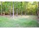 Wide green backyard with tall trees and a wooden fence line at 109 Holly St, Summerville, SC 29485
