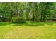 Sprawling backyard with mature trees providing ample shade at 136 Harrow Pl, Goose Creek, SC 29445