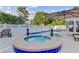 Backyard pool and jacuzzi area with a privacy fence and decorative pineapple plants on the coping at 1503 Pondside Ct, Summerville, SC 29485