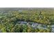 An aerial view of a neighborhood surrounded by trees and greenery at 1901 Bairds Cv, Charleston, SC 29414