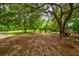 Spacious backyard featuring a patio and wooded area with mature trees at 1976 Liberia Rd, Wadmalaw Island, SC 29487