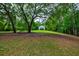 Lush backyard with mature trees and hammock at 1976 Liberia Rd, Wadmalaw Island, SC 29487
