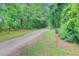 Scenic view of a dirt path in a wooded area at 2076 Rookery Ln, Charleston, SC 29414